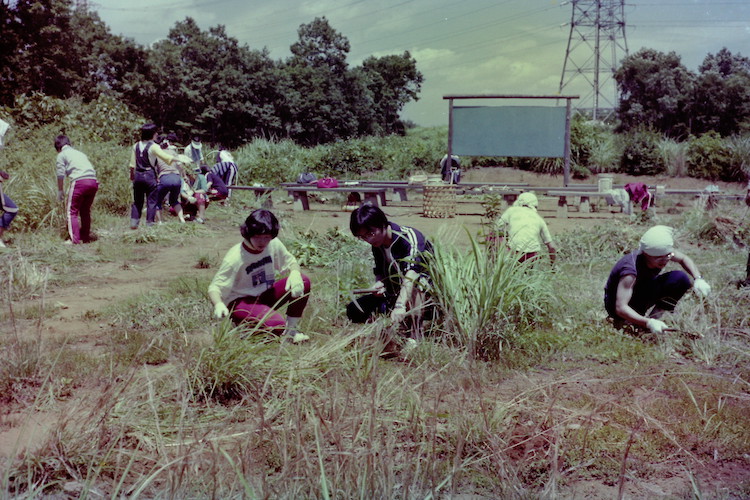 造園作業