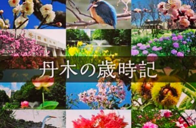 丹木の四季の風景