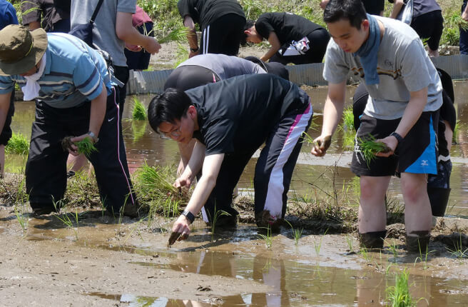 地域・産学連携センターでの活動