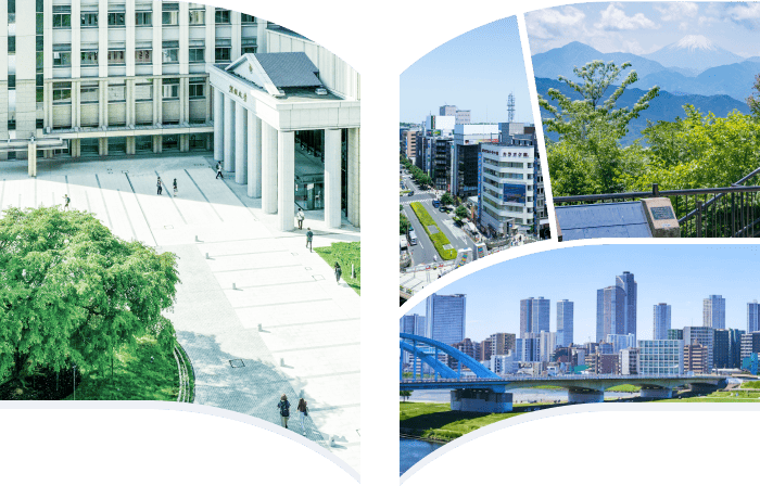 多摩地域と創価大学のつながりを表すメインビジュアル