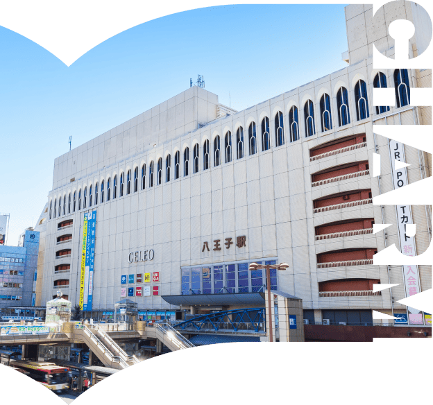 創価大学と八王子市の地域連携の様子