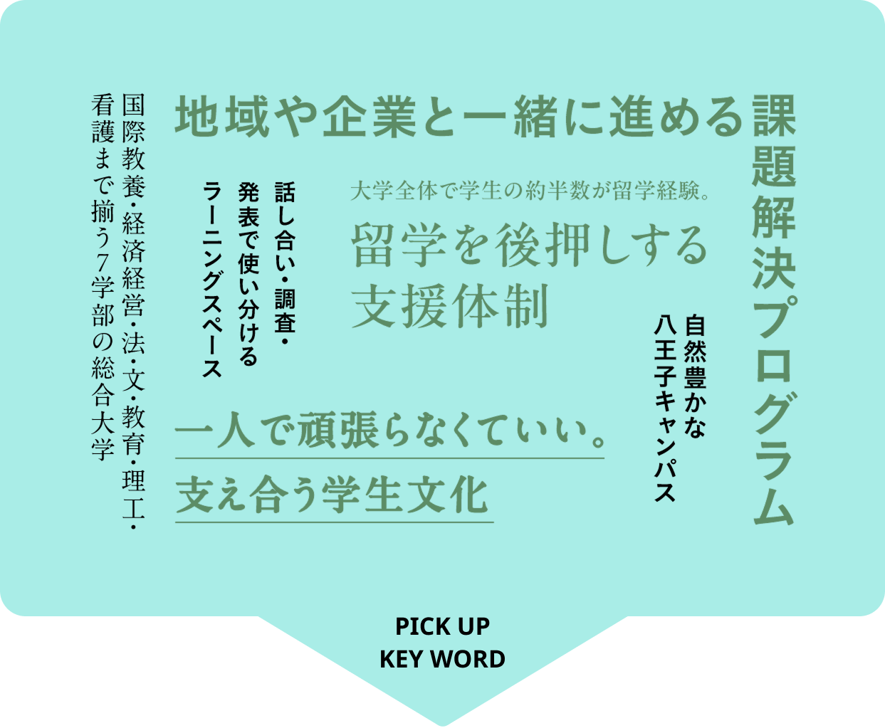 地域や企業と一緒に進める課題解決プログラム、大学全体で学生の約半数が留学経験。留学を後押しする支援体制、話し合い・調査・発表で使い分けるラーニングスペース、一人で頑張らなくていい。支え合う学生文化、自然豊かな八王子キャンパス、国際教養・経済経営・法・文・教育・理工・看護まで揃う7学部の総合大学、PICK UP KEY WORD