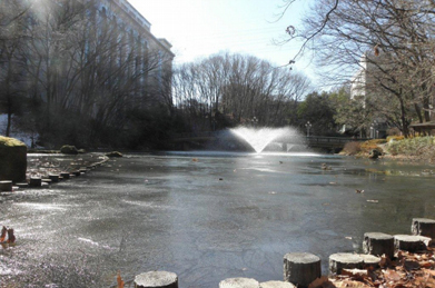 スケートリンクとまではいかないものの、「文学の池」には氷が張り、所々に残雪があります。