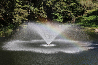 抜けるような秋空の下、「文学の池」の噴水に虹がかかっています。