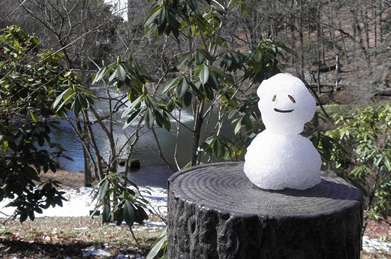 「文学の池」の側を行き交う学生を、小さな雪だるまと福寿草が見守っています。