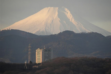 本部棟を悠然と見守るように、富士山が朝日に輝いています（１月２日に撮影）。