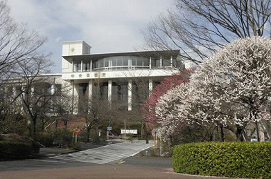 【中央図書館】キャンパスは梅の盛り。 女子短大の側から中央図書館を望むと、梅のピンクと建物の白とのコントラストが目に鮮やかです。