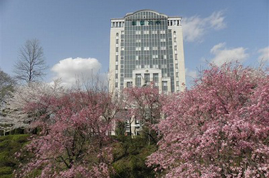「本部棟」には、青空と桜がよく合います。