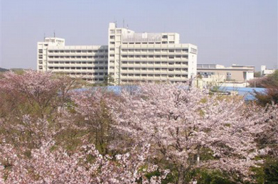 本部棟の方から文系Ａ棟を見渡すと、まるで桜の上に浮かんでいるように見えます。どこかで聞いたような表現を拝借すれば、「大学の中に桜があるのではない。桜の中に大学があるのだ」というところでしょうか。