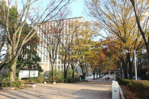 欅（ケヤキ）並木が続く「栄光の道」。左手に見えるのは「中央教育棟」です。