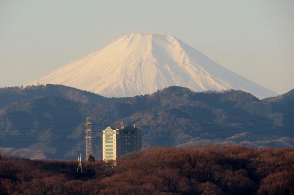 富士山の懐に抱かれる本部棟。富士はいつも厳然と本学の学生の成長を見守ってくれているようです。１月２日に撮影しました。