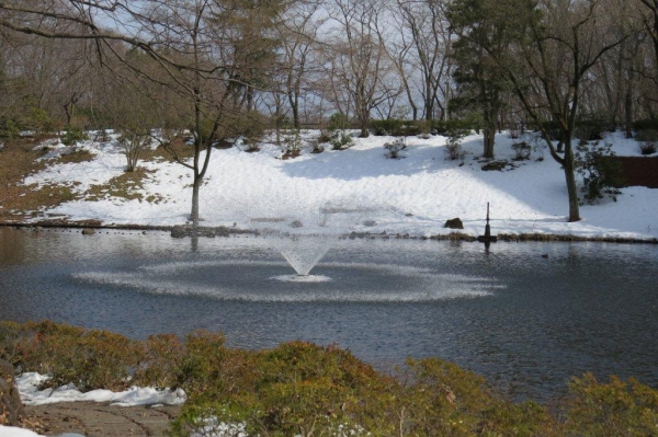 「文学の池」も残雪に覆われています。