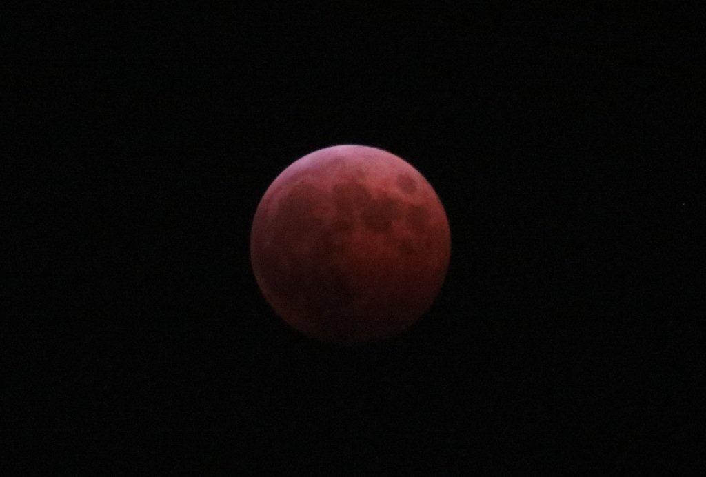 今月８日にはワインレッドの月が昇りました。満月が地球の影に覆われておこる皆既月食。地球の大気で太陽の光が屈折し、赤い色がわずかに月に届くためにこのように見えるそうです。