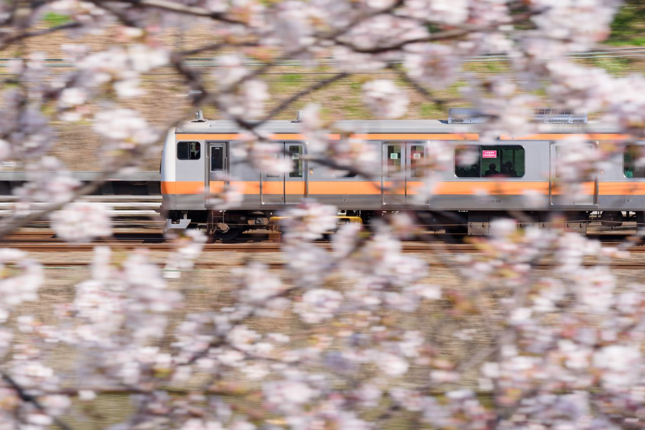 春だ、桜だ、中央線だ！