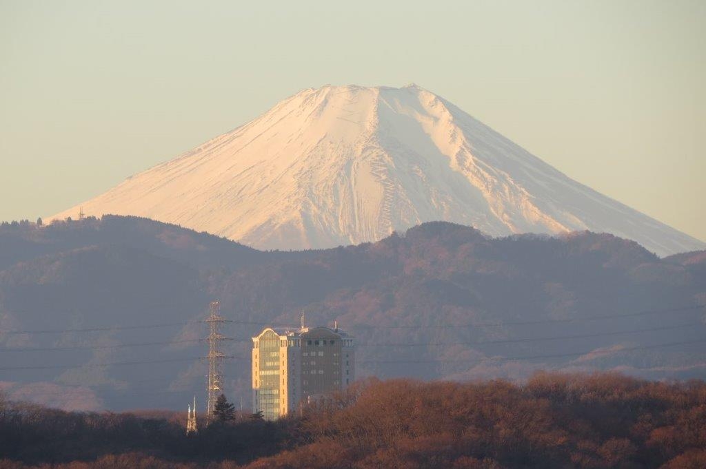 本部棟と富士山